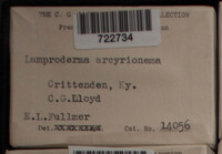 Image Associated With the Occurence